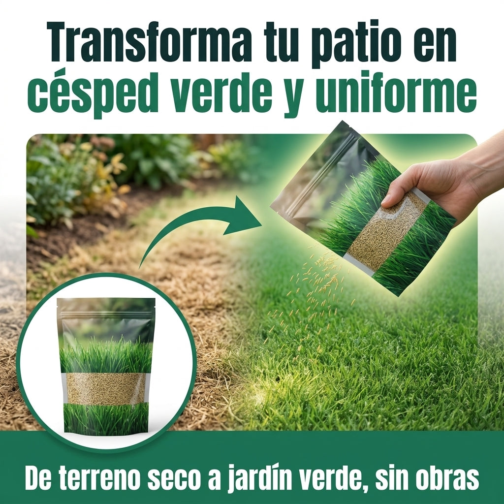 Organic Spirulina - Semillas Polvo Activadora
