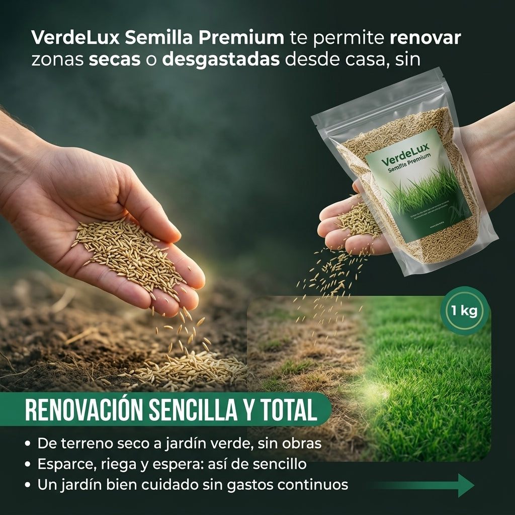 Organic Spirulina - Semillas Polvo Activadora