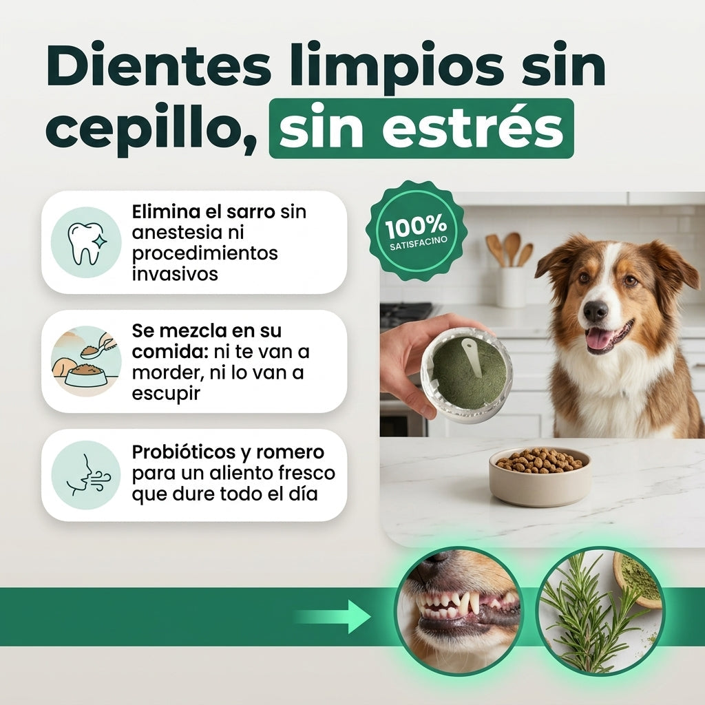 Polvo Dental Canino Dentivet