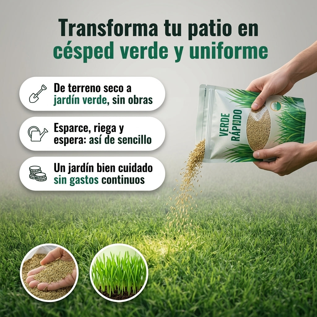Organic Spirulina - Semillas Polvo Activadora