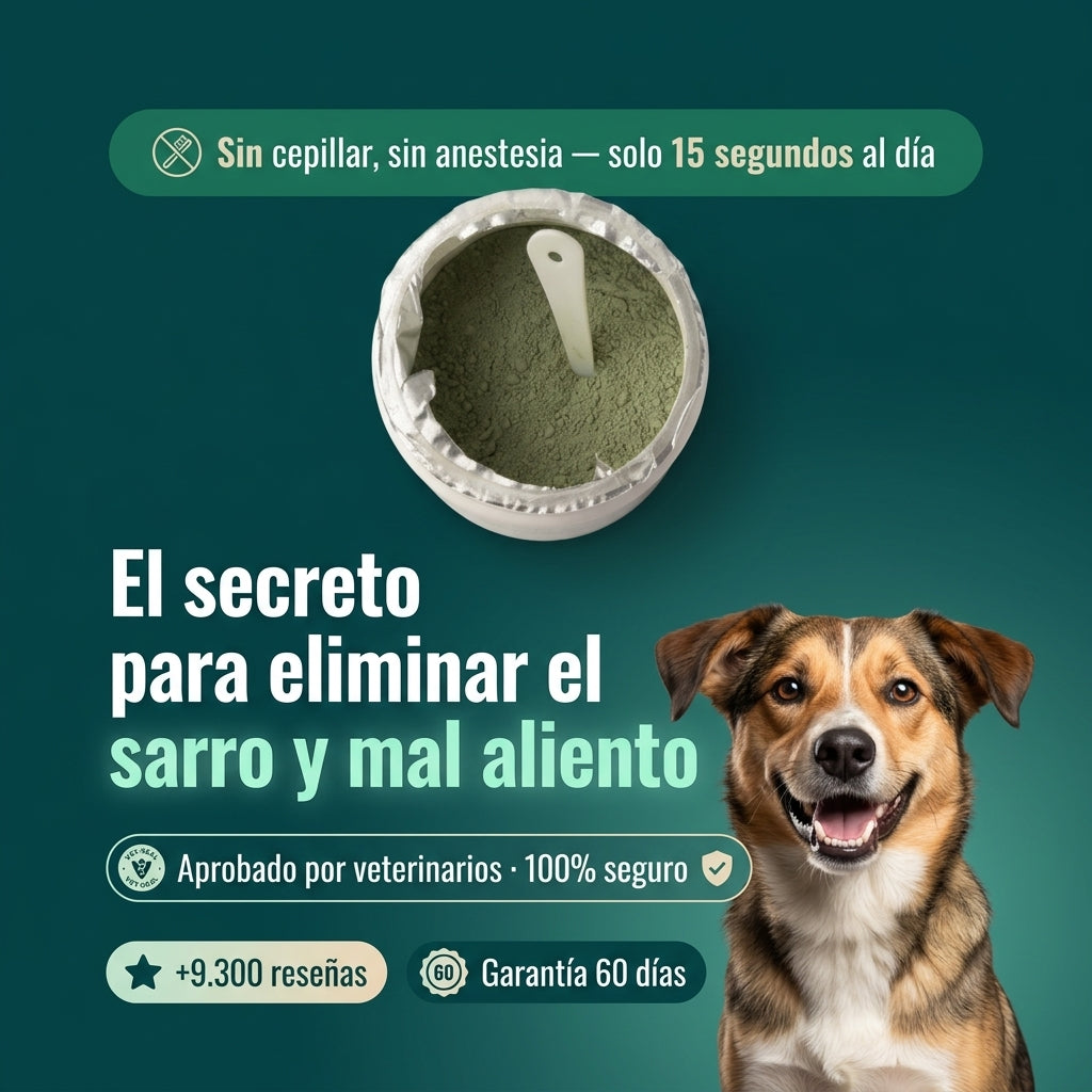 Polvo Dental Canino Dentivet