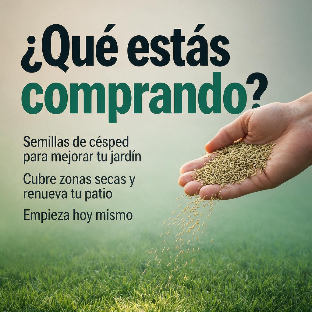 Organic Spirulina - Semillas Polvo Activadora